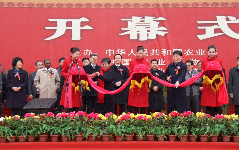 20120305-j02.jpg