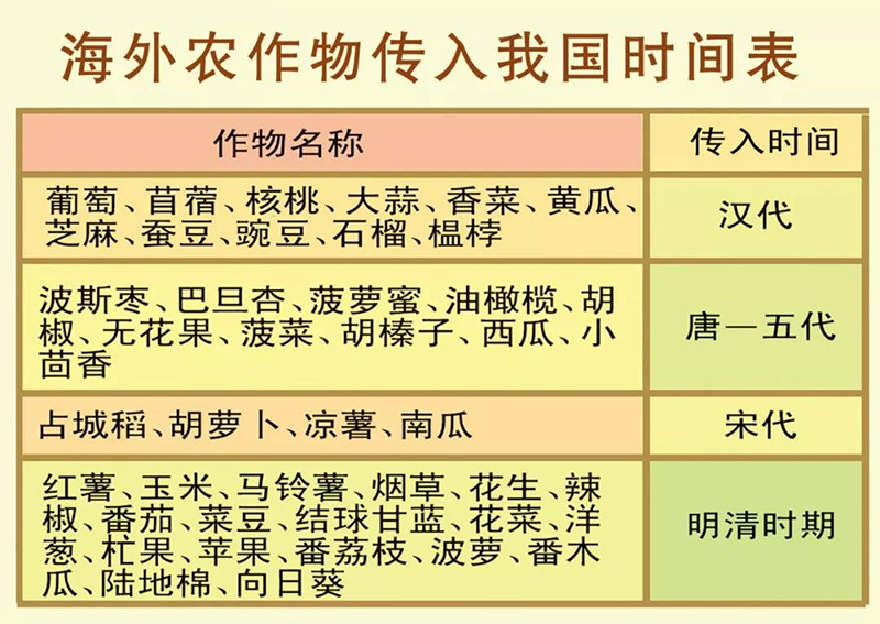 白附子来源图片